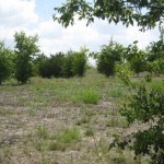4.68 Acre Lot for sale in Kyle TX